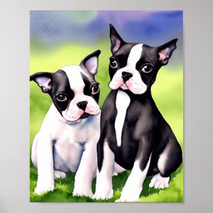 Boston Terrier Puppies Watercolor Art Skriv ut Poster