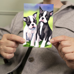 Boston Terrier Puppies Watercolor Hälsning Kort
