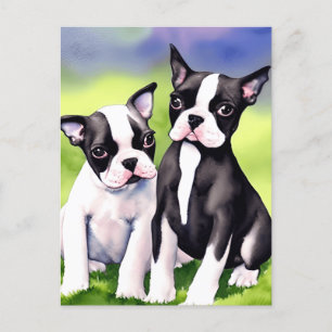 Boston Terrier Puppies Watercolor Vykort
