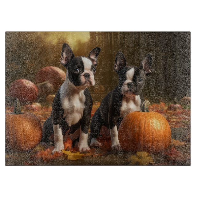 Boston Terrier Puppy Autumn Delight Pumpkin (Framsidan)