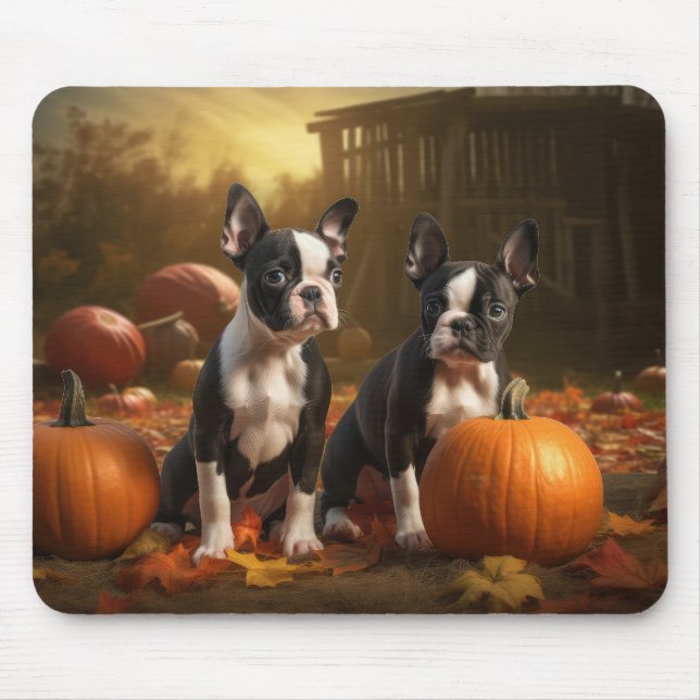 Boston Terrier Puppy Autumn Delight Pumpkin Musmatta (Framsidan)