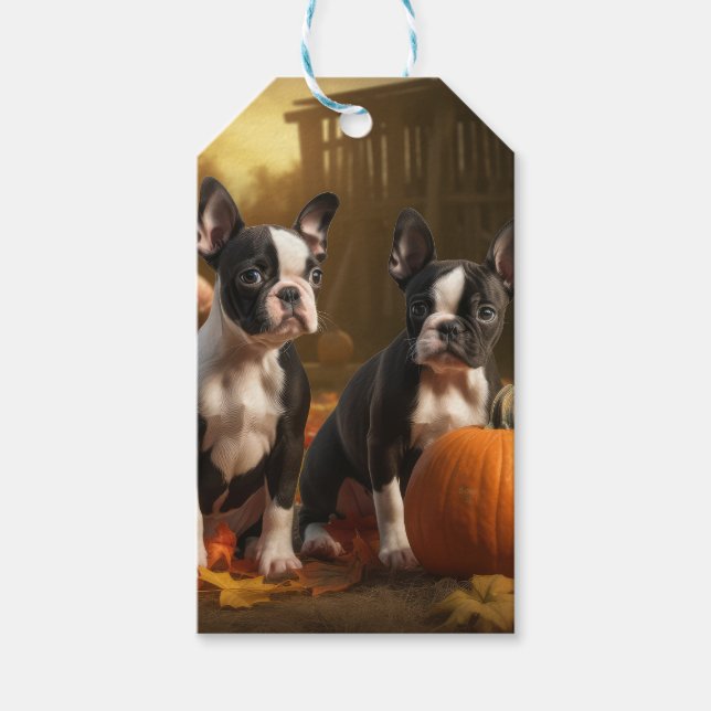Boston Terrier Puppy Autumn Delight Pumpkin Presentetikett (Framsidan)