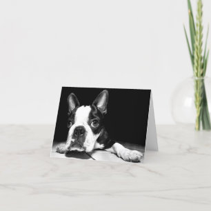 Boston Terrier Puppy Hund Blank Notecard Kort