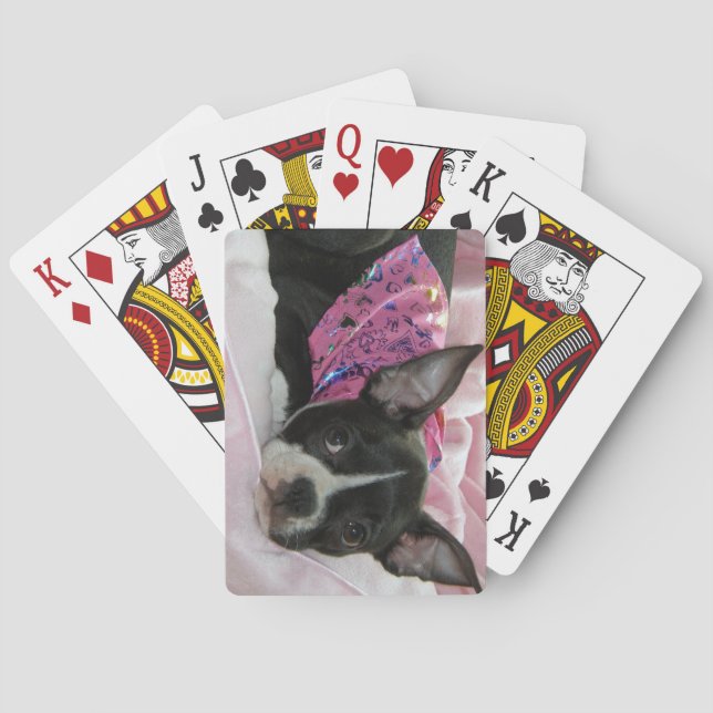 Boston Terrier Puppy Hund Kortlek (Baksidan)