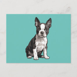 Boston Terrier Puppy Hund Postcard Vykort