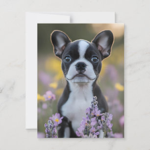 Boston Terrier Puppy Lupine Flowers Vykort