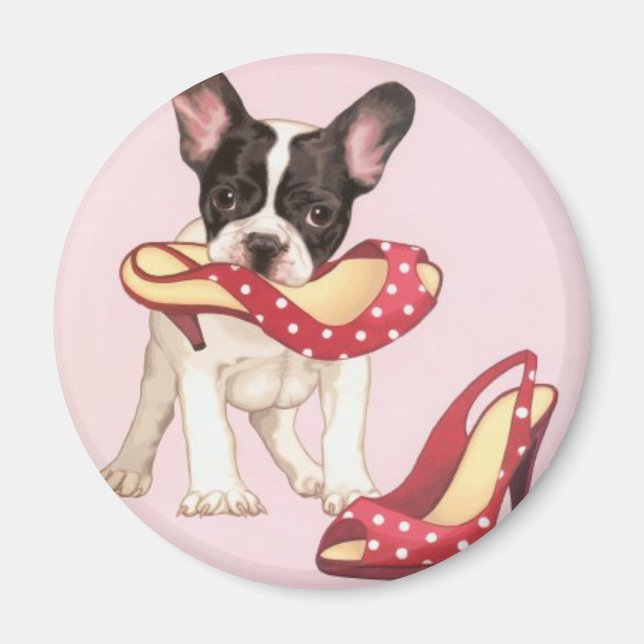 Boston Terrier Puppy With Shoes Magnet (Framsidan)
