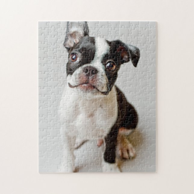 Boston Terrier Pussel (Vertikal)