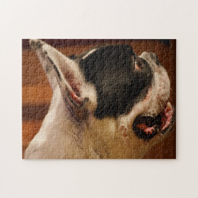 Boston Terrier Pussel (Horisontell)