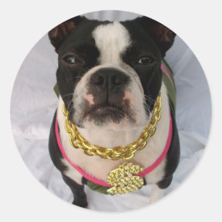 Boston Terrier Rapper Runt Klistermärke