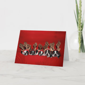 Boston Terrier Reindeer Greeting Card Helgkort