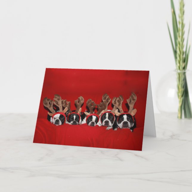 Boston Terrier Reindeer Greeting Card Helgkort (Framsida)
