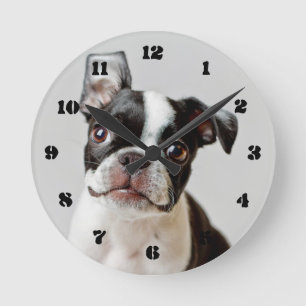 Boston Terrier Rund Klocka