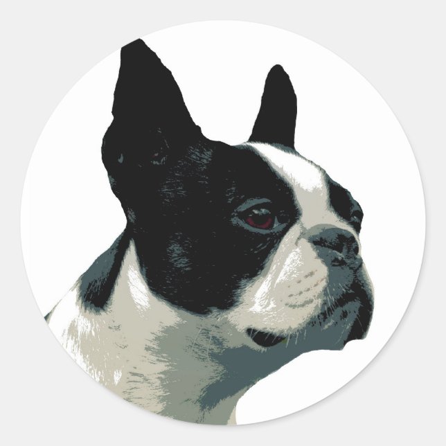 Boston Terrier Runt Klistermärke (Framsida)