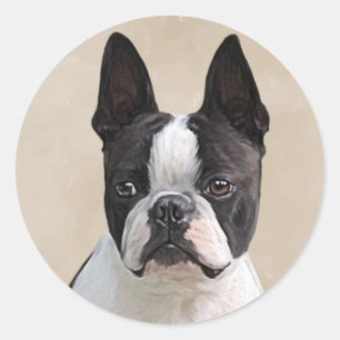 Boston Terrier Runt Klistermärke