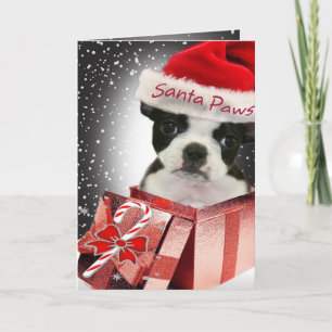 Boston Terrier Santa Tassar-kort Helgkort