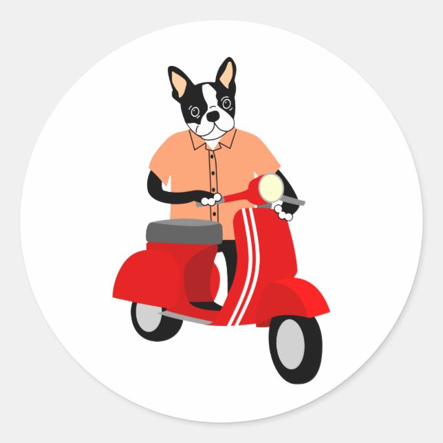 Boston Terrier Scooter Runt Klistermärke (Framsida)