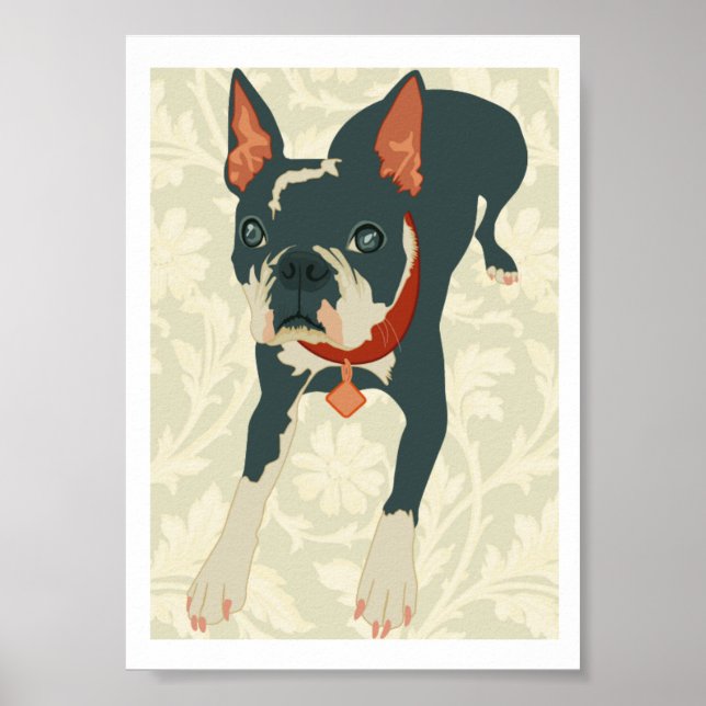 Boston Terrier Skriv ut Poster (Framsidan)