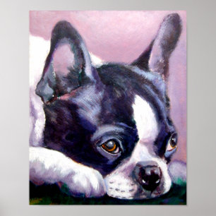 Boston Terrier Skriv ut Poster