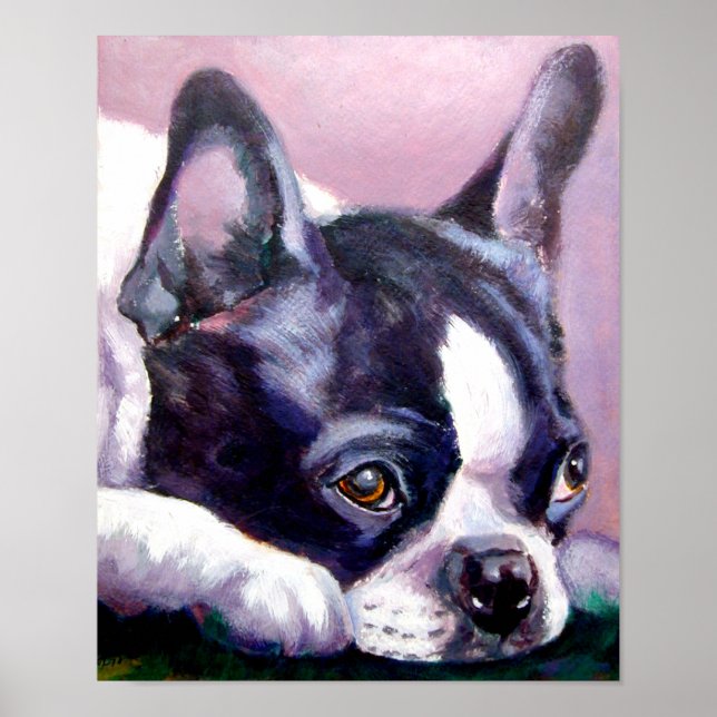 Boston Terrier Skriv ut Poster (Framsidan)