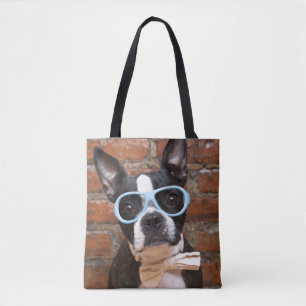 Boston Terrier som ha på sig solglasögon och en Tygkasse