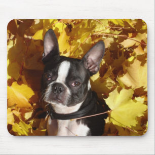 Boston Terrier som omges av höst löv Mousepad Musmatta