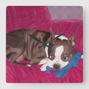 Boston Terrier som vilar på den röda soffan - Fyrkantig Klocka
