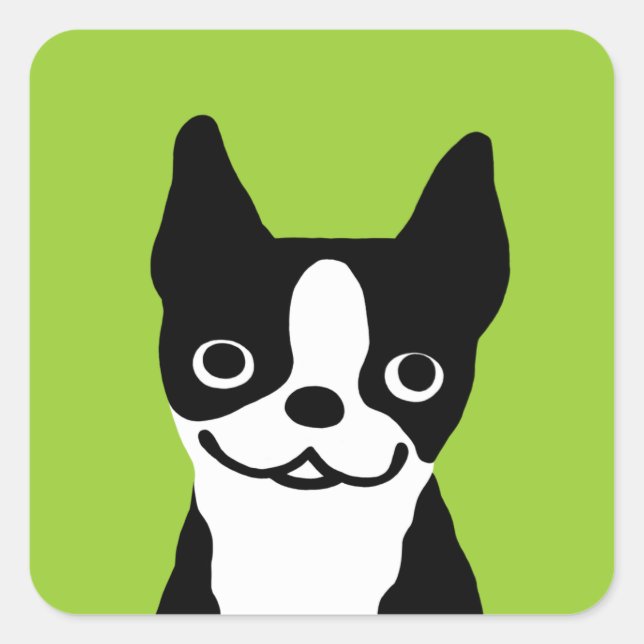 Boston Terrier - Sött Hund Fyrkantigt Klistermärke (Framsida)