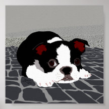 Boston Terrier Stone Pave Wall Art Poster