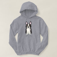 Boston Terrier