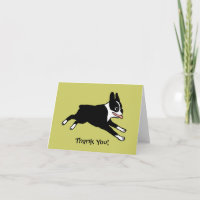 Boston Terrier Tack (Anpassade)