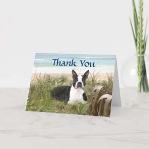 Boston Terrier Tack för ditt kort Beachgräs
