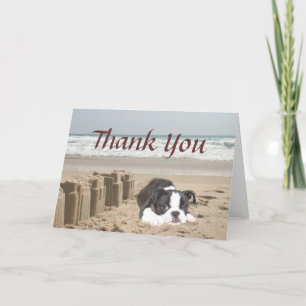Boston Terrier, tack för ditt kort Sandcastles