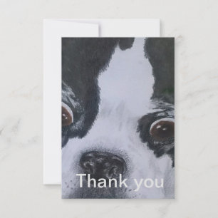 Boston Terrier Tacksamhetskort Tack Kort