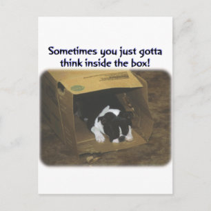 Boston Terrier: Tänkainsida boxas Vykort
