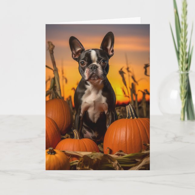 Boston Terrier Thanksgiving Helgkort (Framsida)