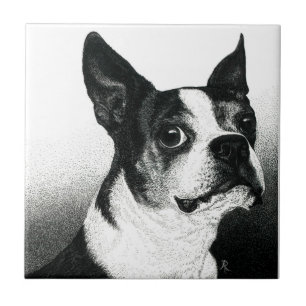 Boston Terrier Tile - Boston Stil Kakelplatta