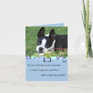 Boston Terrier Tillfällen Greeting Card Kort
