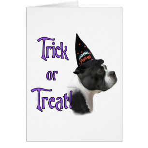 Boston Terrier Trick Hälsningskort