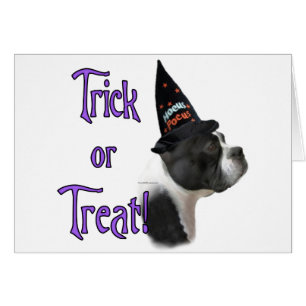 Boston Terrier Trick Hälsningskort