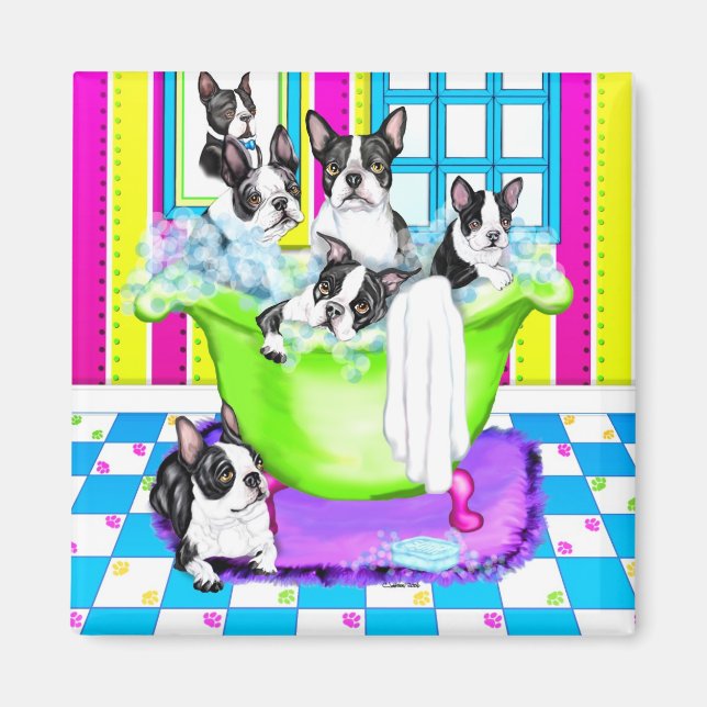 Boston Terrier Tub Fullt Magnet (Framsidan)