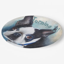 Boston Terrier Turning 12 PARTY
