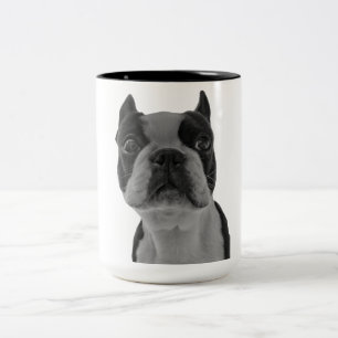 Boston terrier Två-Tonad mugg