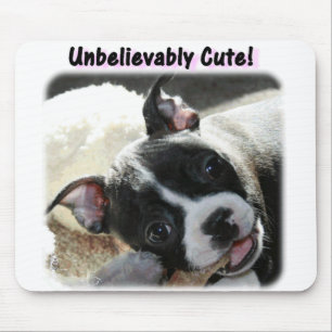Boston Terrier: Unbelievably gulligt! Musmatta