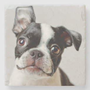 Boston Terrier Underlägg Sten