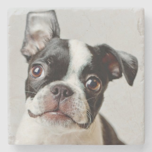 Boston Terrier Underlägg Sten (Framsidan)