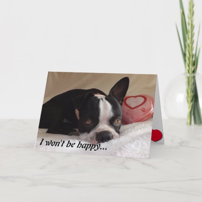 Boston Terrier Valentine Day Card Helgkort (Framsida)