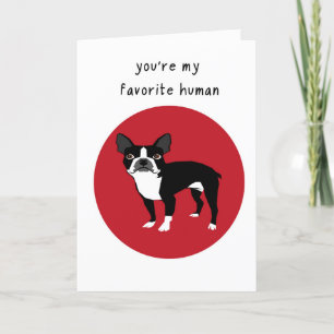 Boston Terrier Valentines day Card Helgkort