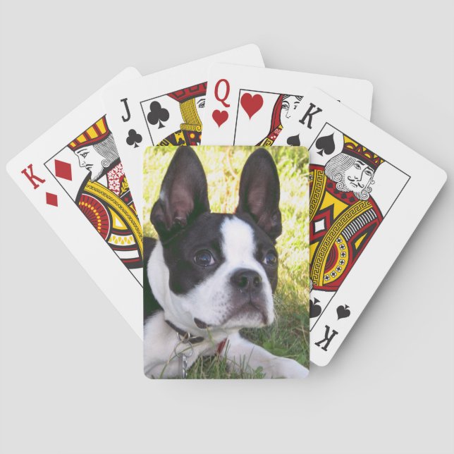 Boston Terrier Valp Deck of Cards Kortlek (Baksidan)
