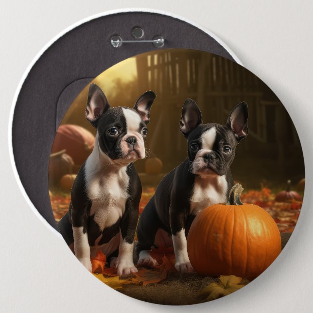 Boston Terrier Valp Höstglädje Pumpa Knapp (Framsida & baksida)